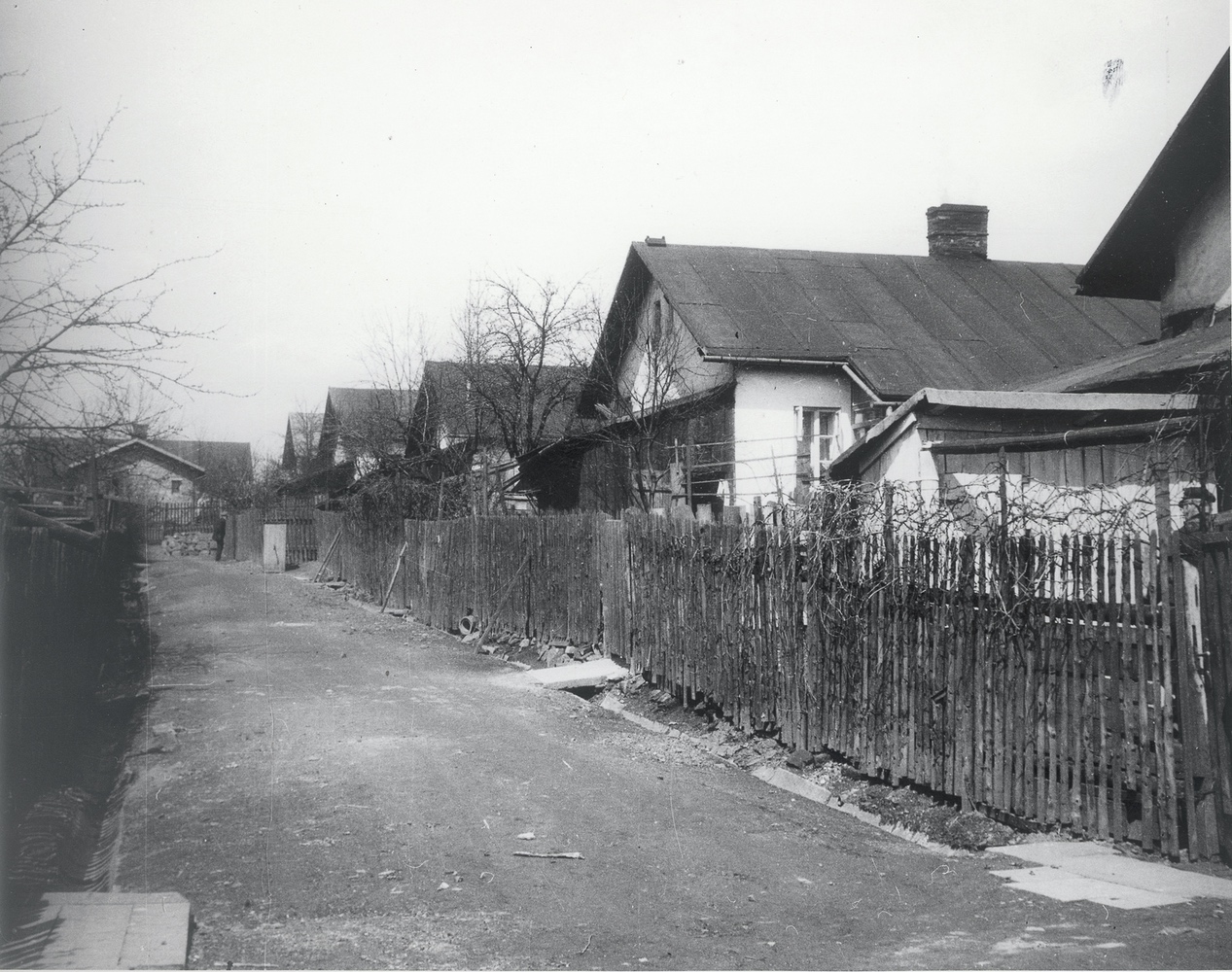 Rajkova kolonie (Rejchova)