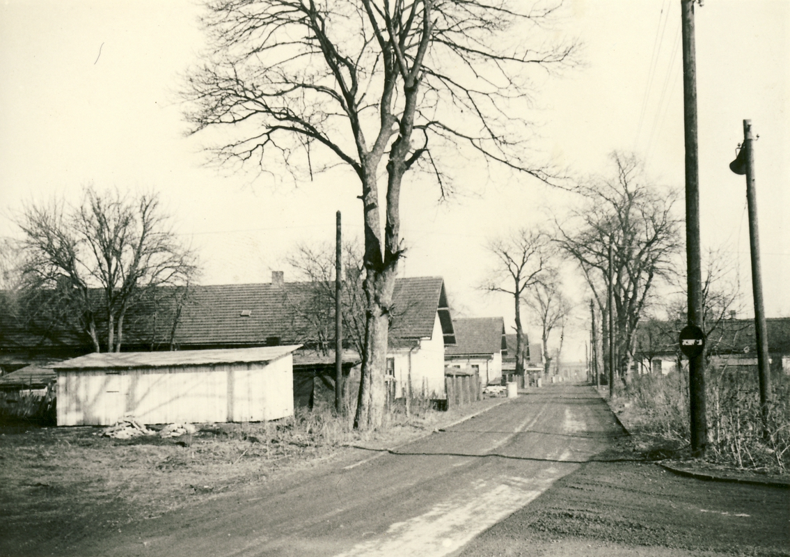 Kolonie Sovinec (kolem roku 1960)