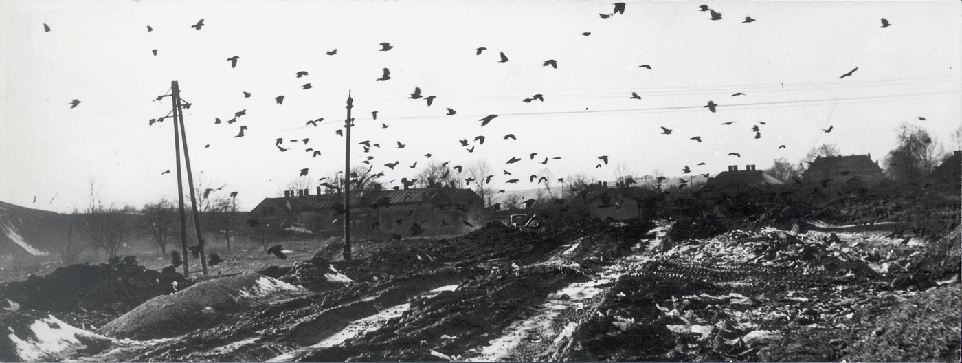 Krajina v blízkosti kolonie Sovinec (1962)