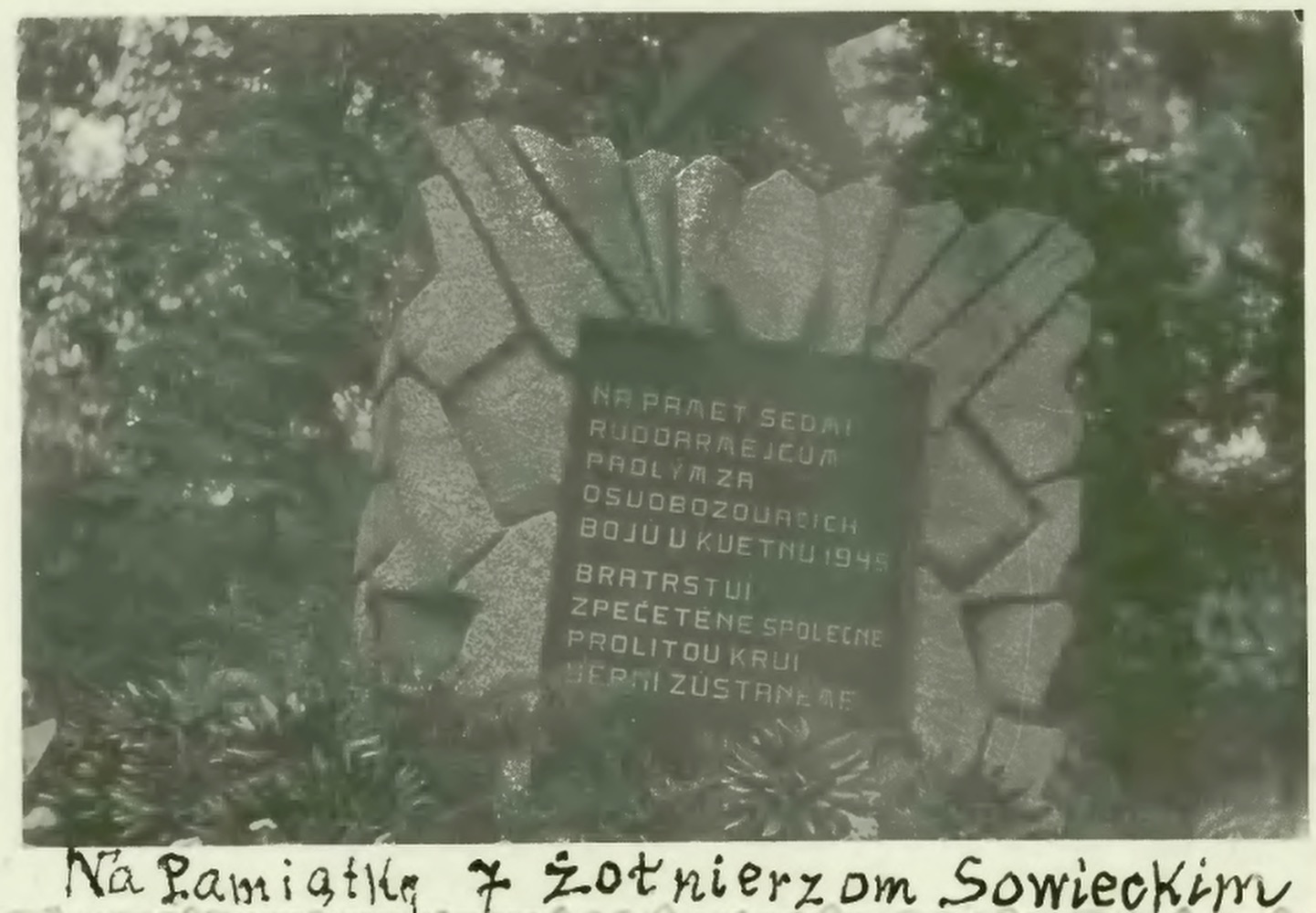 Pomník sedmi rudoarmějcům padlým za osvobozovacích bojů v květnu 1945 (Zdroj: Śląska Biblioteka Cyfrowa)