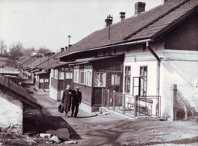 Bílá kolonie