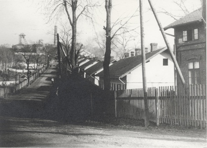 Bílá kolonie
