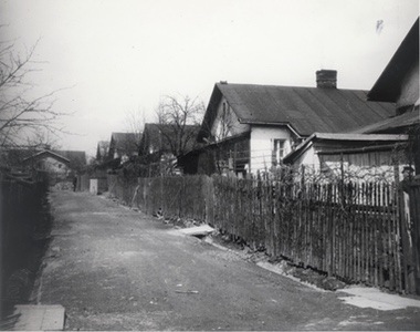 Reichova kolonie