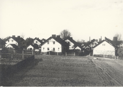 Kolonie Reichova
