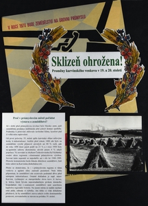 Sklizeň ohrožena 01