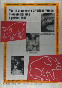 Sklizeň ohrožena 09